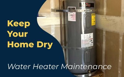 How to Prevent Water Heater Leaks: Your Expert, Proven Guide